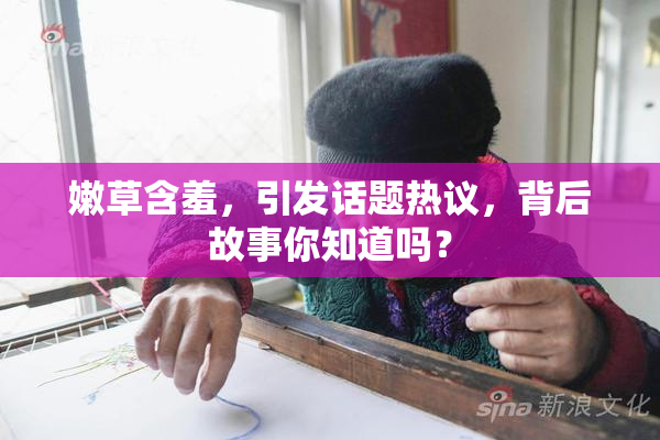 嫩草含羞，引发话题热议，背后故事你知道吗？