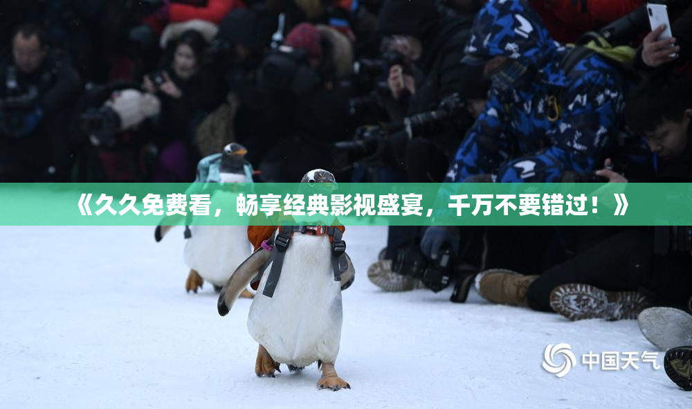 《久久免费看，畅享经典影视盛宴，千万不要错过！》