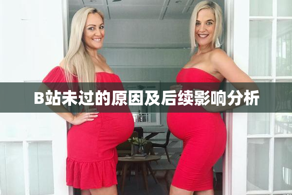 B站未过的原因及后续影响分析