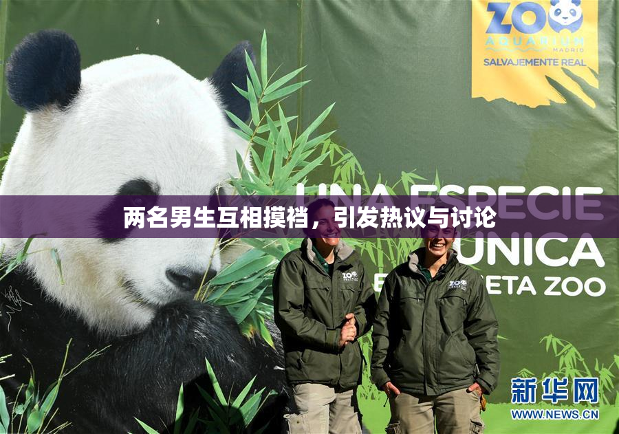 两名男生互相摸裆，引发热议与讨论