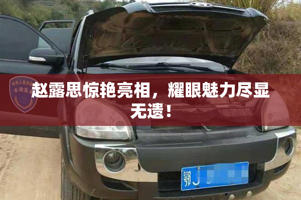 赵露思惊艳亮相，耀眼魅力尽显无遗！