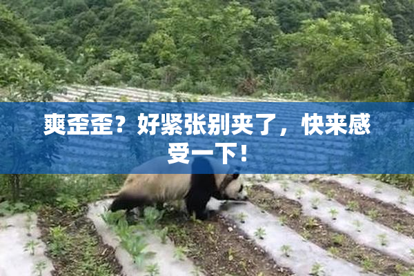 爽歪歪？好紧张别夹了，快来感受一下！