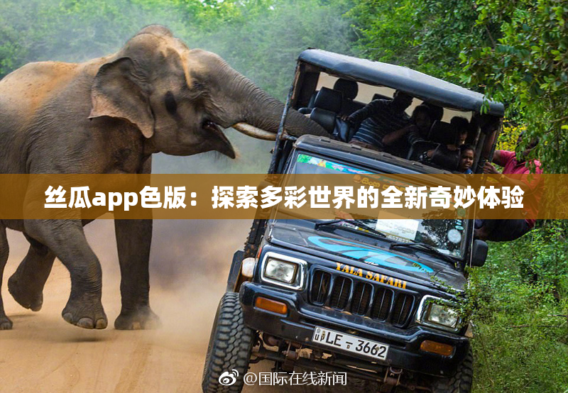丝瓜app色版：探索多彩世界的全新奇妙体验