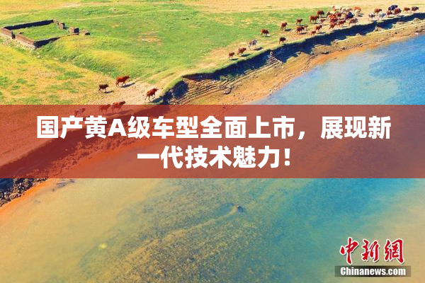 国产黄A级车型全面上市，展现新一代技术魅力！