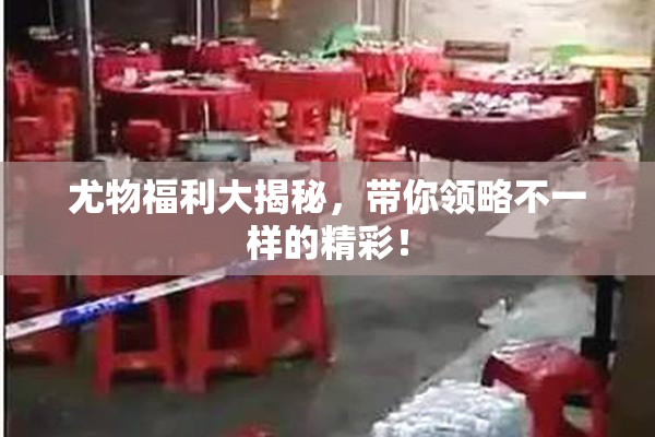 尤物福利大揭秘，带你领略不一样的精彩！