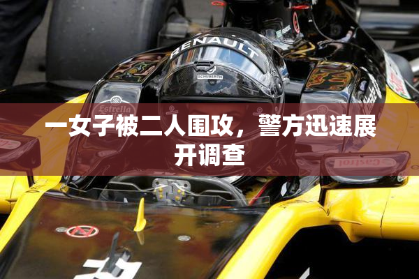 一女子被二人围攻，警方迅速展开调查
