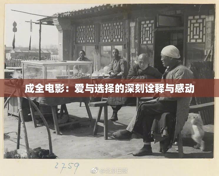 成全电影：爱与选择的深刻诠释与感动