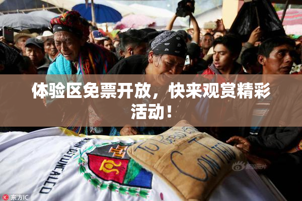体验区免票开放，快来观赏精彩活动！