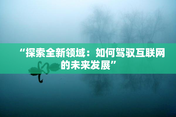 “探索全新领域：如何驾驭互联网的未来发展”