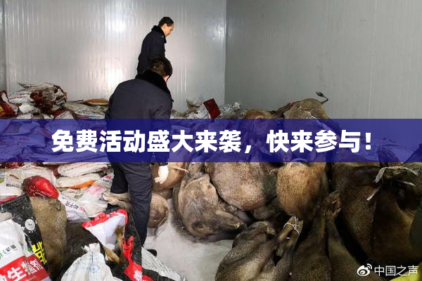 免费活动盛大来袭，快来参与！