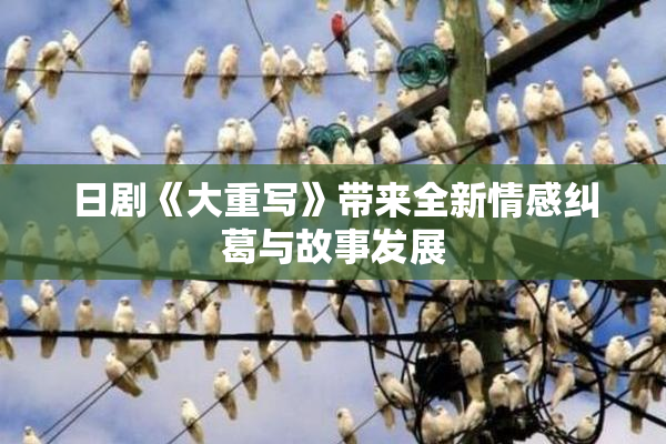 日剧《大重写》带来全新情感纠葛与故事发展