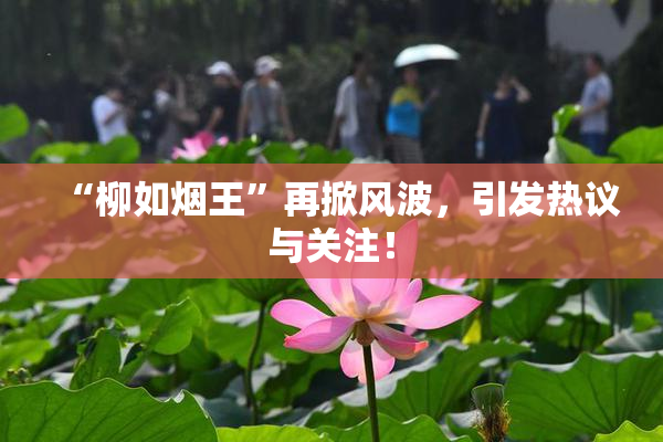 “柳如烟王”再掀风波，引发热议与关注！