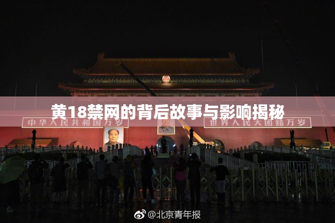 黄18禁网的背后故事与影响揭秘