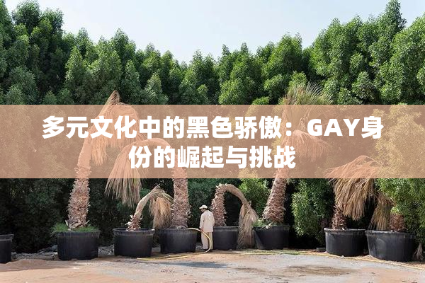 多元文化中的黑色骄傲：GAY身份的崛起与挑战
