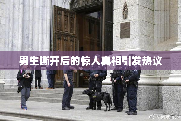 男生撕开后的惊人真相引发热议