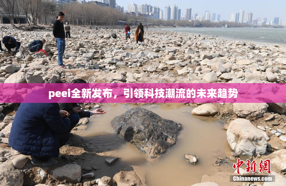 peei全新发布，引领科技潮流的未来趋势