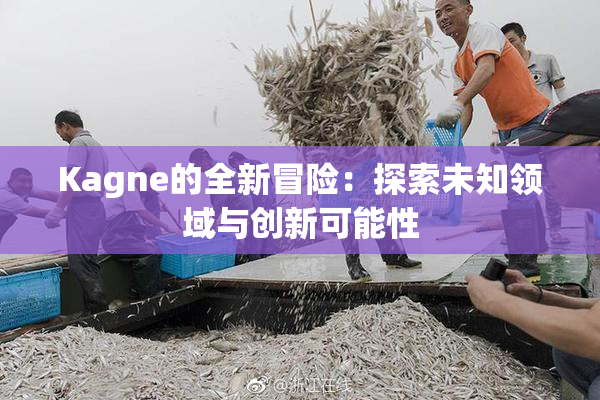 Kagne的全新冒险：探索未知领域与创新可能性