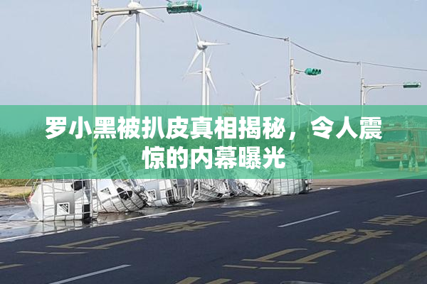 罗小黑被扒皮真相揭秘，令人震惊的内幕曝光