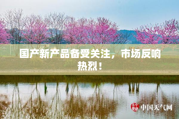 国产新产品备受关注，市场反响热烈！