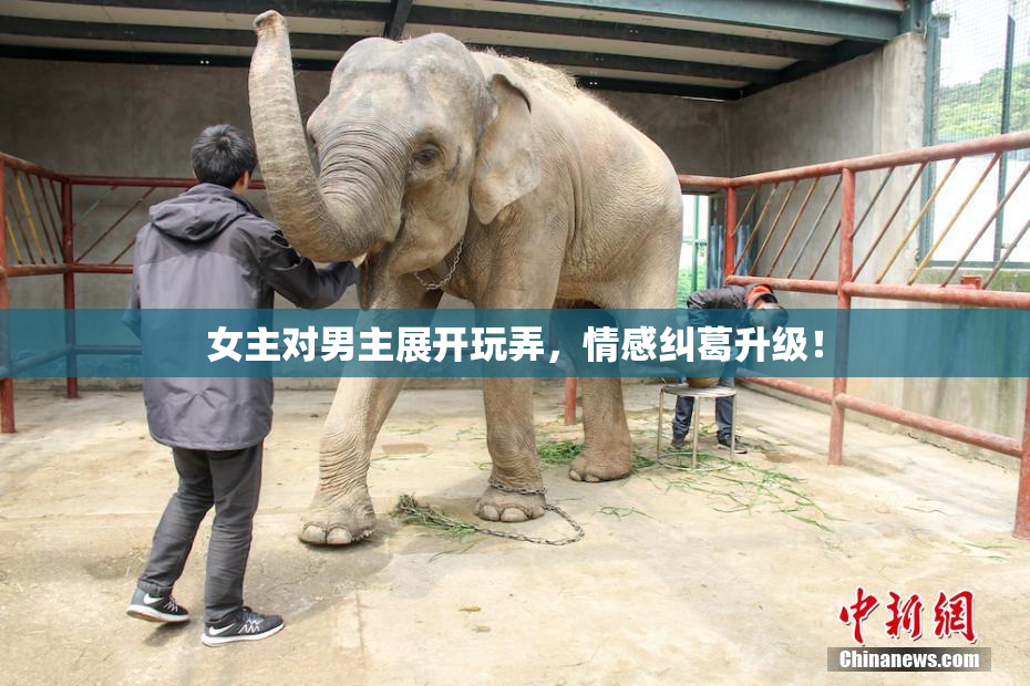 女主对男主展开玩弄，情感纠葛升级！