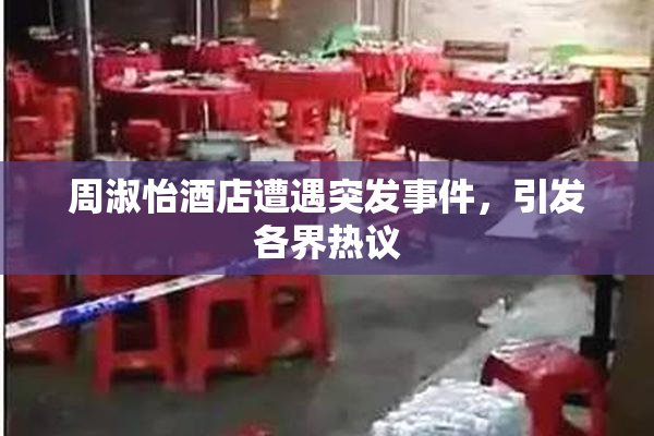 周淑怡酒店遭遇突发事件，引发各界热议