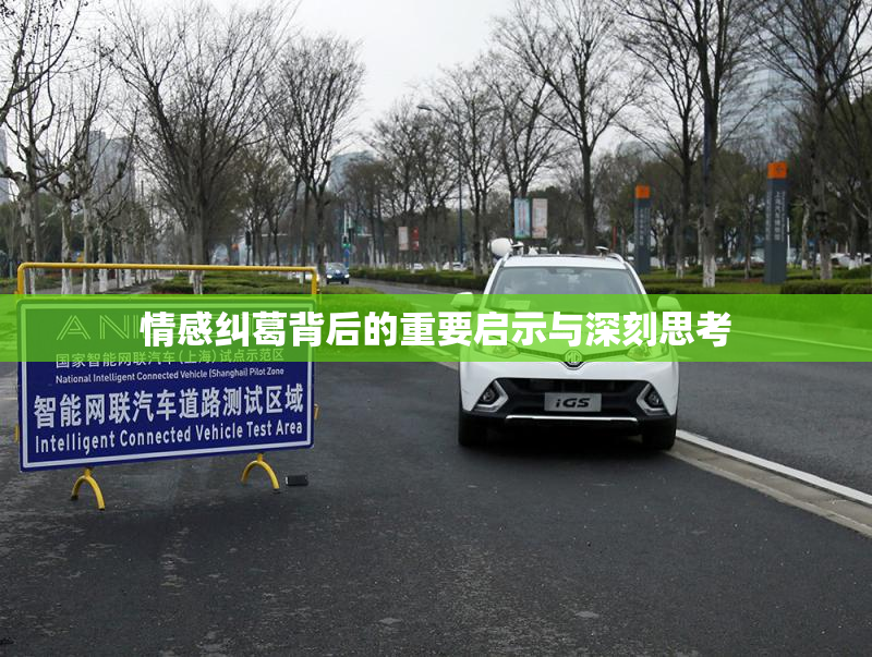 情感纠葛背后的重要启示与深刻思考