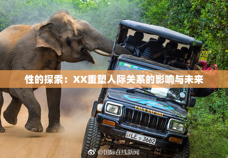 性的探索：XX重塑人际关系的影响与未来