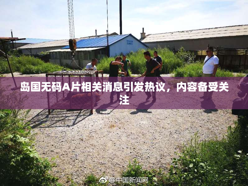 岛国无码A片相关消息引发热议，内容备受关注