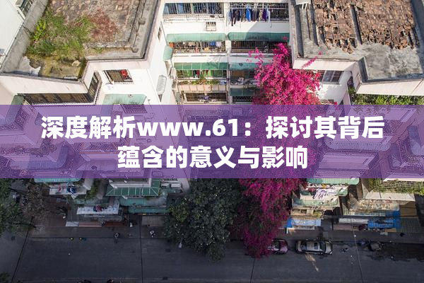 深度解析www.61：探讨其背后蕴含的意义与影响