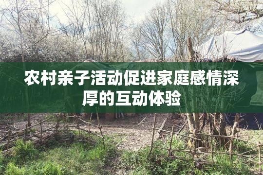 农村亲子活动促进家庭感情深厚的互动体验