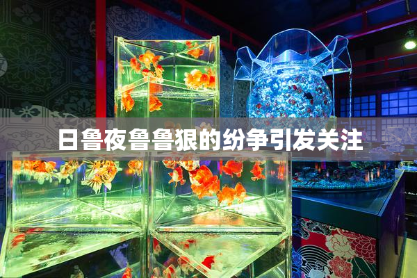 日鲁夜鲁鲁狠的纷争引发关注