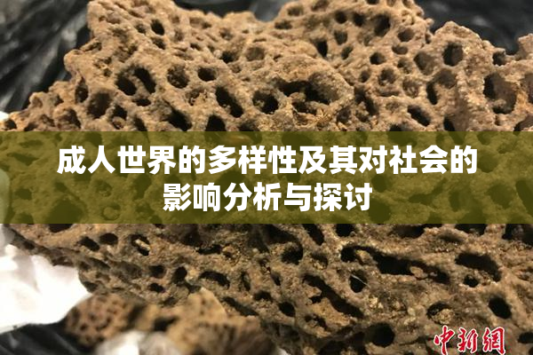 成人世界的多样性及其对社会的影响分析与探讨