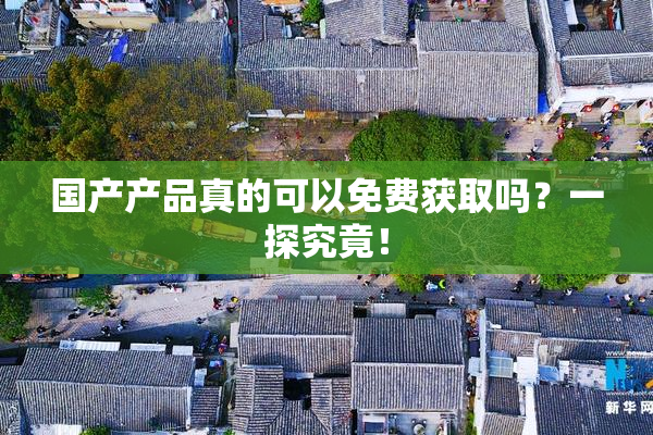 国产产品真的可以免费获取吗？一探究竟！