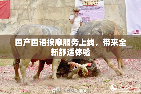 国产国语按摩服务上线，带来全新舒适体验