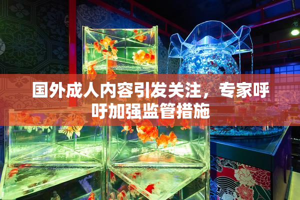 国外成人内容引发关注，专家呼吁加强监管措施