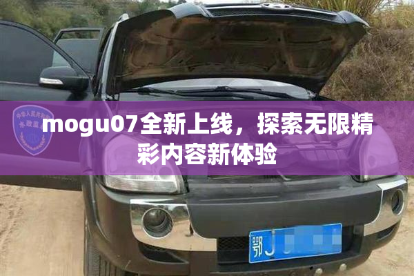 mogu07全新上线，探索无限精彩内容新体验