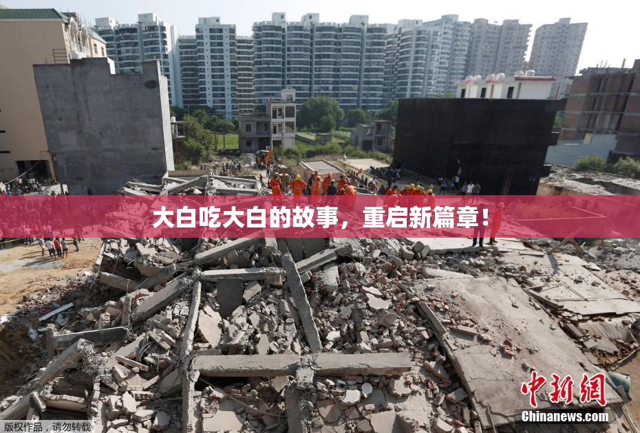 大白吃大白的故事，重启新篇章！