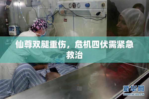 仙尊双腿重伤，危机四伏需紧急救治