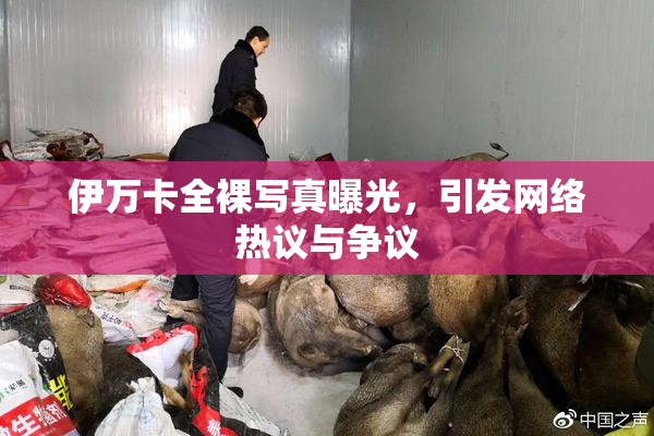 伊万卡全裸写真曝光，引发网络热议与争议