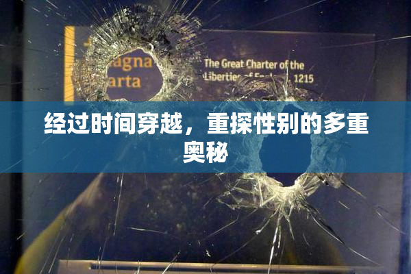 经过时间穿越，重探性别的多重奥秘
