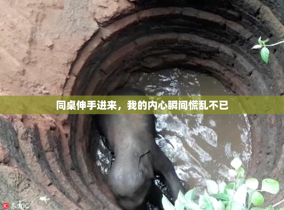 同桌伸手进来，我的内心瞬间慌乱不已