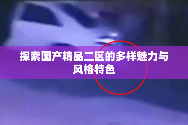 探索国产精品二区的多样魅力与风格特色