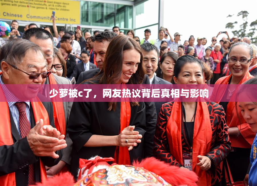 少萝被c了，网友热议背后真相与影响