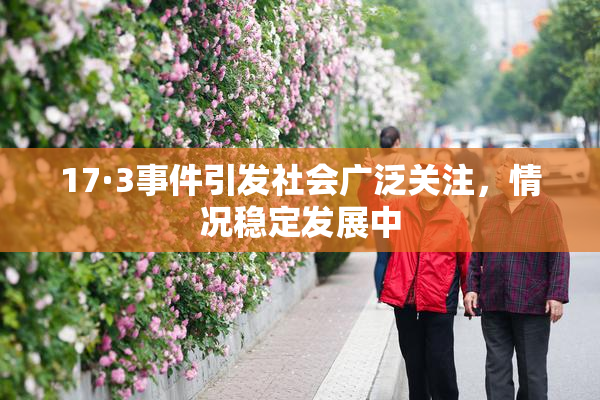 17·3事件引发社会广泛关注，情况稳定发展中