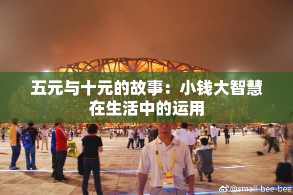 五元与十元的故事：小钱大智慧在生活中的运用