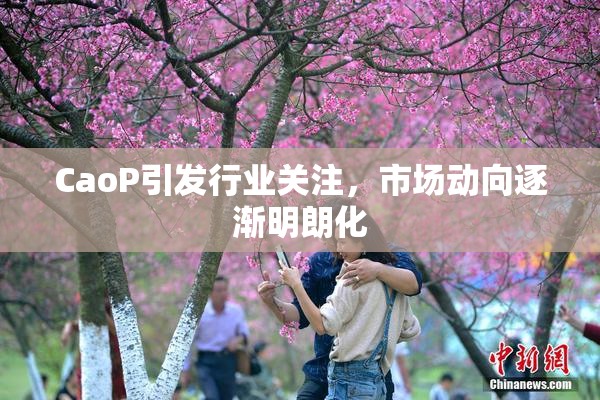 CaoP引发行业关注，市场动向逐渐明朗化