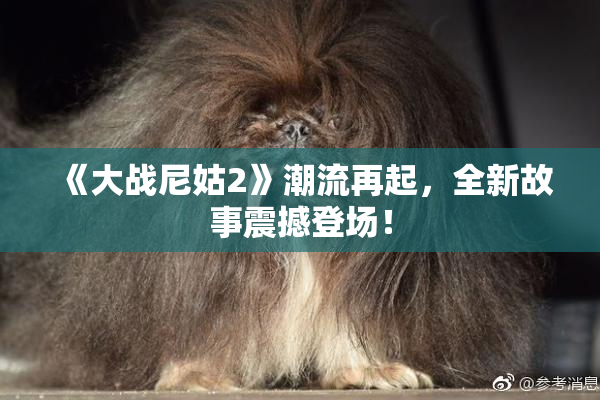 《大战尼姑2》潮流再起，全新故事震撼登场！