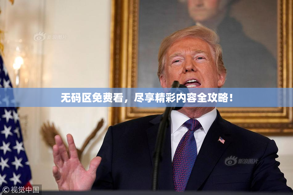 无码区免费看，尽享精彩内容全攻略！