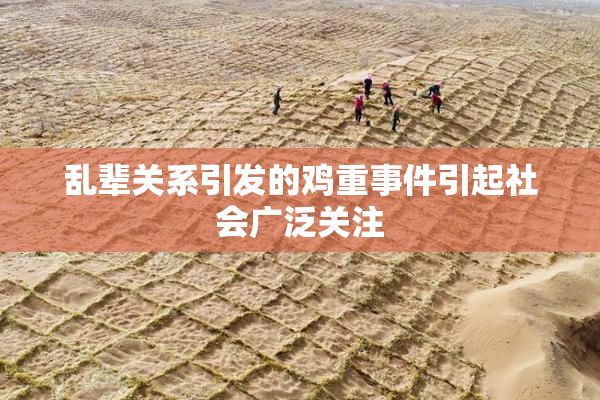 乱辈关系引发的鸡重事件引起社会广泛关注