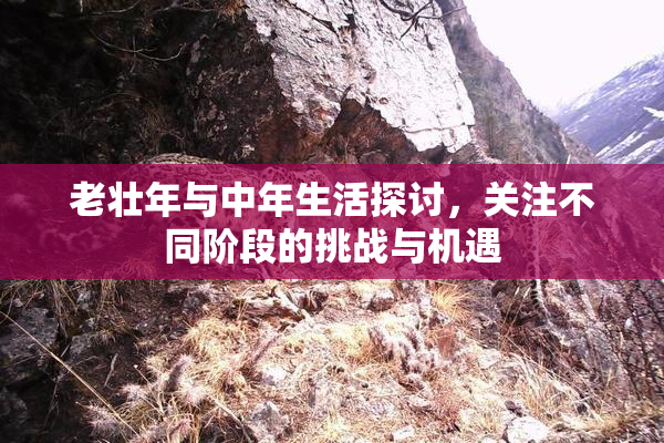 老壮年与中年生活探讨，关注不同阶段的挑战与机遇